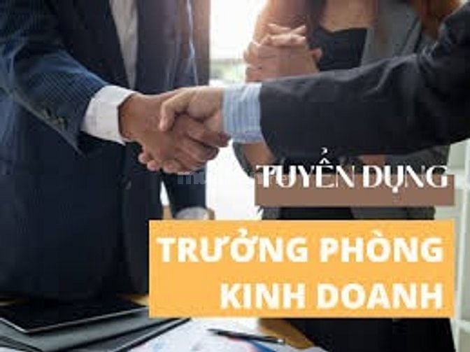 Công ty Nguyên Hồ cần tuyển Trưởng Phòng Kinh Doanh