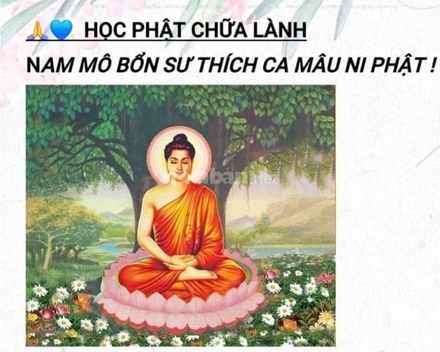 ⚘️" Chữa bệnh, Tâm linh - học Phật : 0964295760 " ⚘️