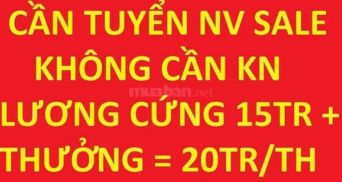 Tuyển gấp 6 NV sale thuê nhà phố - không cần KN, lương cứng 15tr + TH