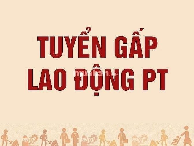 Cần tuyển gấp lao động phổ thông