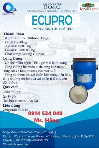 ECUPRO- VI SINH PHÒNG VÀ KIỂM SOÁT BỆNH TPD