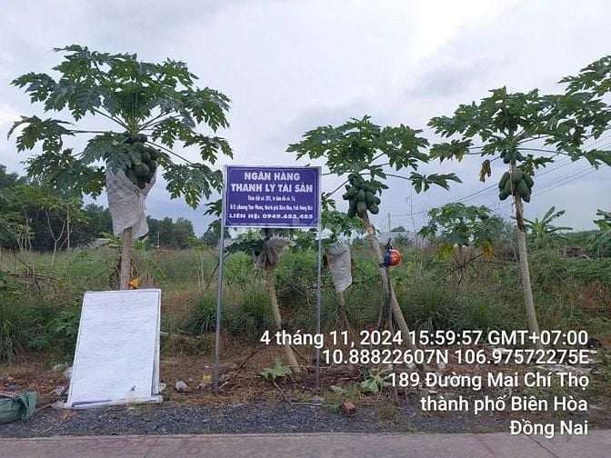 Công ty Đấu giá hợp danh Lam Sơn Sài Gòn THÔNG BÁO ĐẤU GIÁ TÀI SẢN