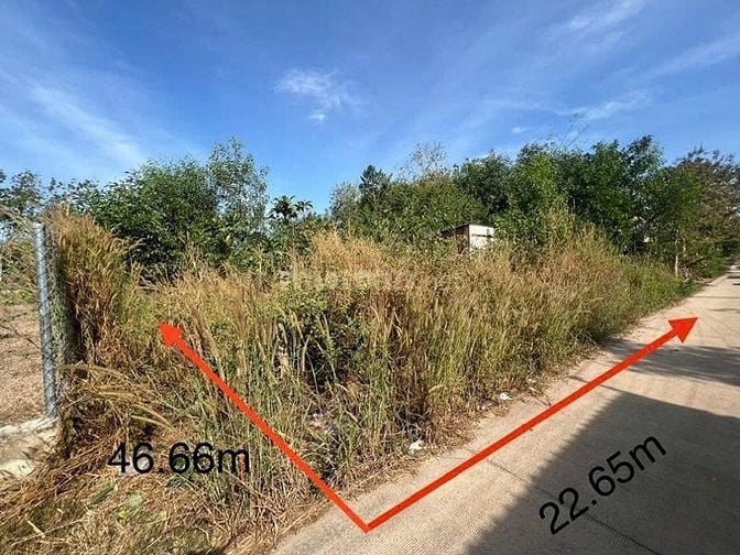 Công ty Đấu giá hợp danh Lam Sơn Sài Gòn THÔNG BÁO ĐẤU GIÁ TÀI SẢN