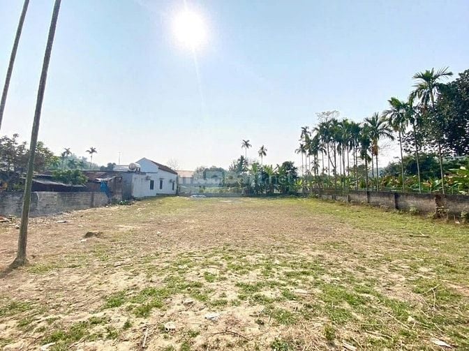 920m2/400m thổ cư lô góc bám đường nhựa liên xã phù hợp phân lô