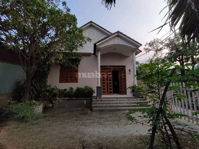 CHO THUÊ NHÀ MẶT TIỀN ĐƯỜNG TÂN LONG, BÌNH CHÁNH