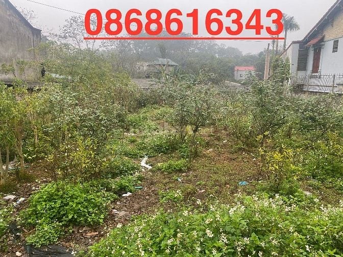 Đất full thổ cư không tranh chấp