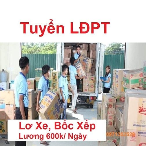 Việc Làm  LĐPT Xếp Bánh Kẹo Lương 600k/ngày Lơ Xe Tải Nhẹ 14tr/ Tháng