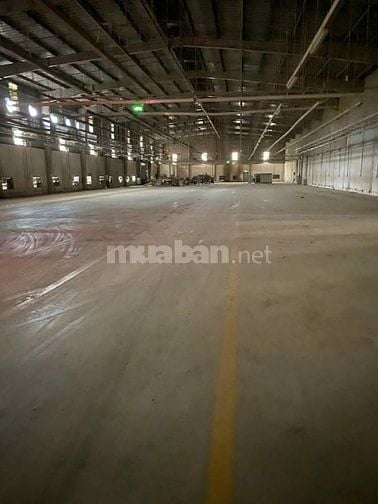 Cho thuê xưởng ngoài KCN Tân Phú Trung, Củ Chi , X: 6.000m2 - 8.000m2