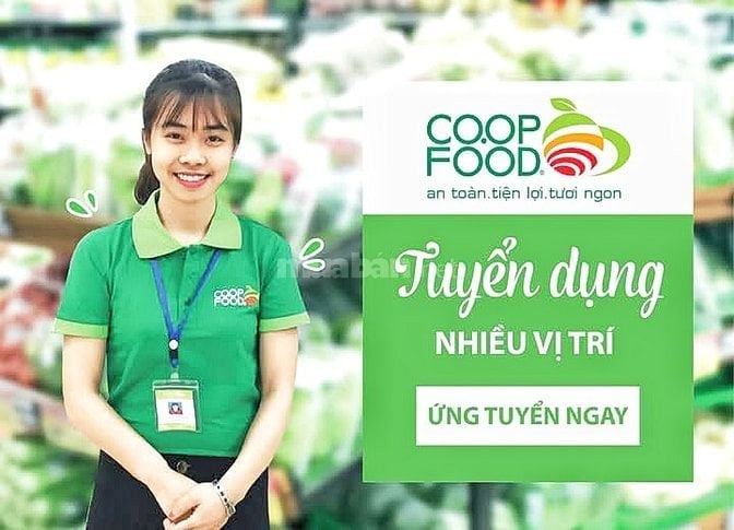 🎇 TIN VUI CHO NGƯỜI THẤT NGHIỆP ✴️ SIÊU THỊ COOPFOOD TUYỂN NHÂN VIÊN