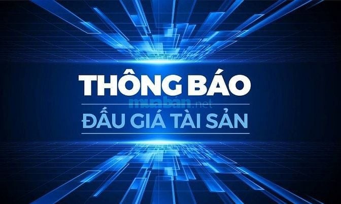 CÔNG TY ĐẤU GIÁ HỢP DANH DẦU KHÍ VIỆT NAM THÔNG BÁO BÁN ĐẤU GIÁ 