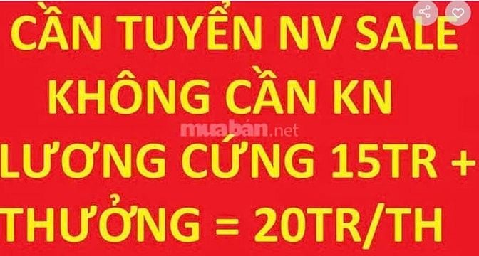 Tuyển gấp 6 NV sale thuê nhà phố, không cần KN, lương cứng 15tr+thưởng