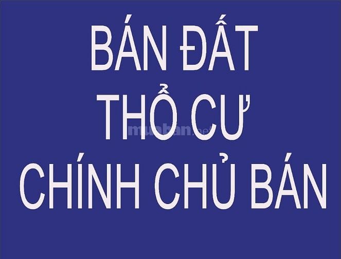 Bán 4 lô đất thổ cư tại Xã Bình Minh, Huyện Trảng Bom, Đồng Nai