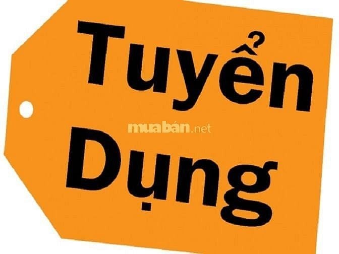 Cần tuyển bảo vệ nội bộ làm tại Quận 3 TPHCM