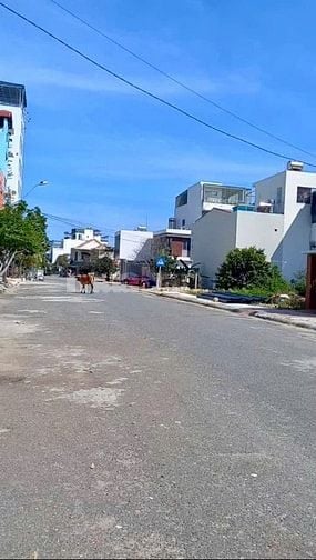 LÔ ĐẤT SẠCH ĐẸP, ĐƯỜNG NHỰA 16M- GIÁ CHỈ 3,1 TỶ - VĨNH HOÀ, NHA TRANG 