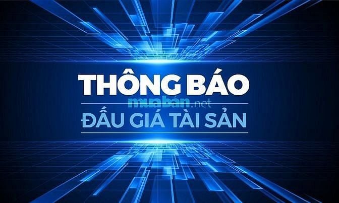 Công ty Đấu giá hợp danh Lam Sơn Sài Gòn THÔNG BÁO ĐẤU GIÁ TÀI SẢN