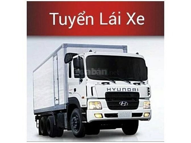 Cần tuyển tài xế bằng C, B2 làm việc tại KCX Tân Thuận, Bình Dương