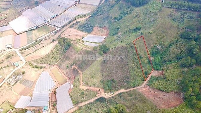 CƠ HỘI VÀNG GIÁ TỐT ĐẦU TƯ! CHÍNH CHỦ BÁN LÔ ĐẤT ĐẸP TẠI XÃ LÁT
