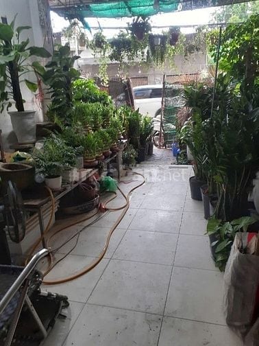 Cho thuê tầng 1 và 1 tầng hầm làm cửa hàng.