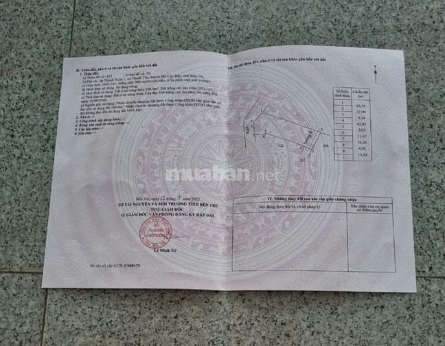 Ông anh ở Sài Gòn .  nhà không ở . Cần bán nhà và đất  . Đất trồng dừa