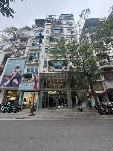 Bán nhà mặt phố Đoàn Trần Nghiệp, cạnh Vincom, 110m2, 6 tầng, 100 tỷ