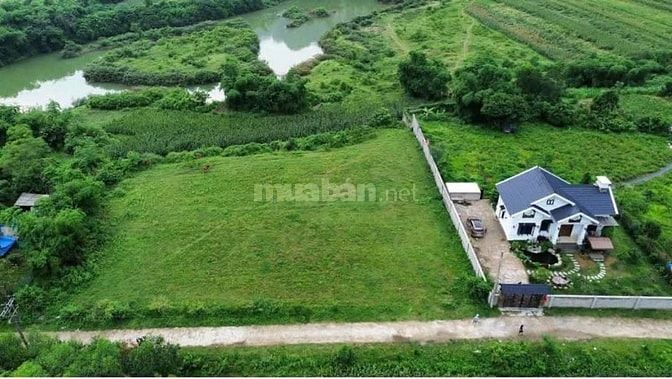 Chính chủ cần bán 27 sào đất ruộng ( 1 hecta  ). 130tr/ sào Vị trí đẹp