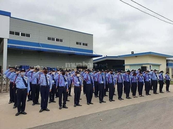 Tuyển 10 BảoVệ 8,3Tr Bao Cơm ca, Ở Miễn Phí Đông Anh Hà Nội 