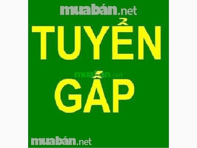 Bổ sung thêm nhân viên phụ kho tại khu vực TPHCM 