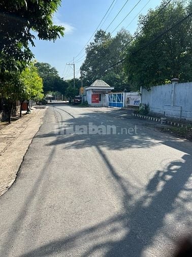 CẦN TIỀN BÁN GẤP LÔ ĐẤT DT = 186 M2, ĐƯỜNG 9A, TÂN THÔNG HỘI, CỦ CHI