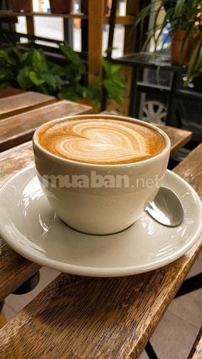 Tuyển NV bán cafe đồ uống các loại 