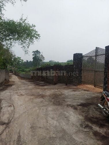 CẦN BÁN LÔ ĐẤT 1700M2 VIEW ĐẸP PHÙ HỢP NGHỈ DƯỠNG