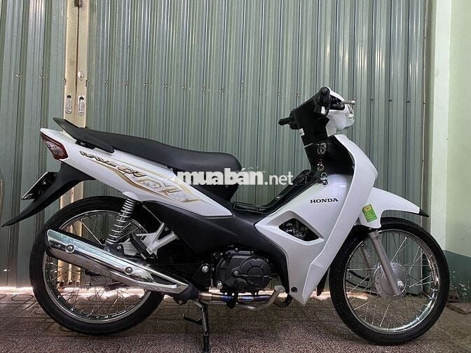 Wave alpha 2022