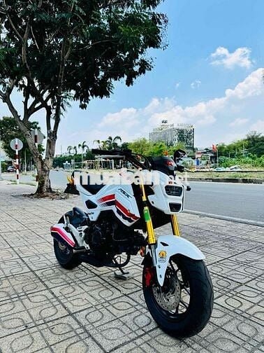 Bán msx125 bs72 chính chủ