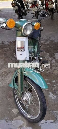 Cub 81 70cc