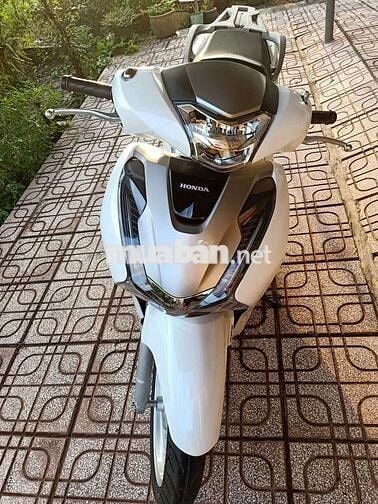 Sh 150 abs 2019