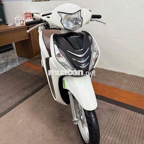 VISION TRẮNG NÂU ĐKLĐ 2022 BSTP CHÍNH CHỦ
