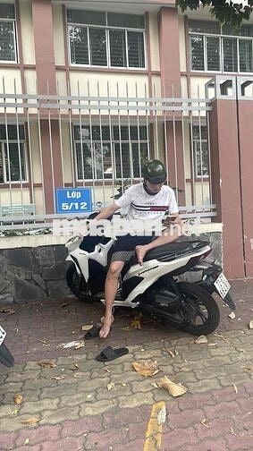 xe nhà đi chợ