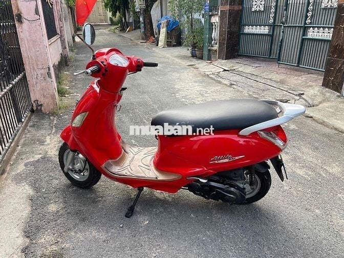 attila Fi đời cao
