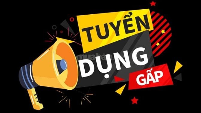 HIỆN TẠI MÌNH ĐANG CẦN GẤP, 04 LĐPT, KHÔNG YÊU CẦU GIỚI TÍNH,LÀM 8 GIỜ