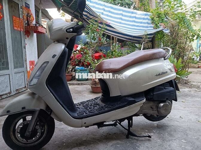 Fiddle 125, bstp.