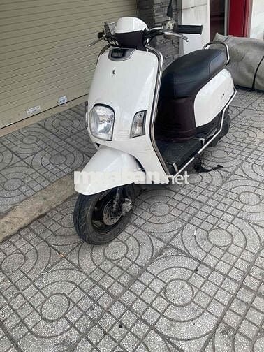 yamaha cuxi 2011 bstp cà vẹt đầy đủ