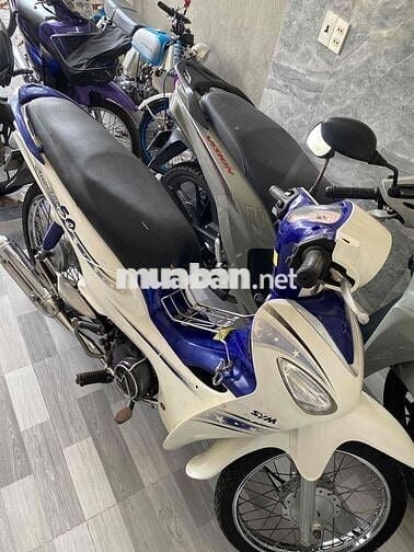 🇻🇳Angela 50cc dành cho học sinh