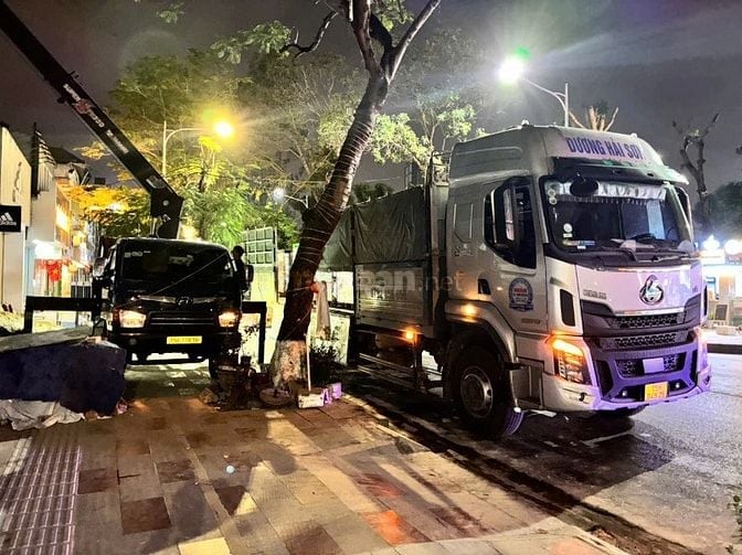 Tuyển lái xe 3 chân thùng bạt tại Hp
