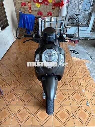 Bán scoopy 2021 BS 65 ngây chủ