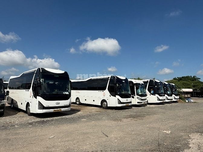 Do nhu cầu mua xe mới Cty cần tuyển Lái xe dấu E