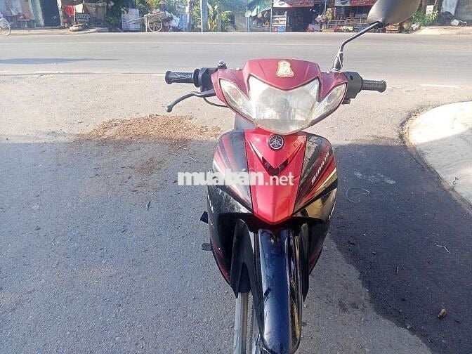 Surus giấy Sài Gòn