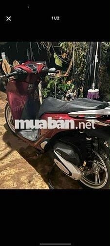 Sh đk cuối 219 đầu 220