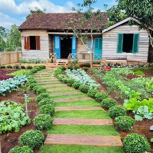 Chính chủ bán 1000m2 thôn 3 cư Êbur có cà phê 20x50  tiêu siêu đẹp 