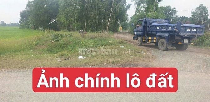 Đất Trồng Cây 375m², QH Đất Ở XD Mới, Trương Thị Như Hóc Môn