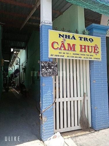 CHO THUÊ PHÒNG TRỌ SỐ 30 TRỀN THỊ BÀU, XÃ TÂN AN HỘI, HUYỆN CỦ CHI