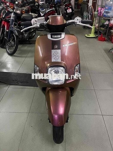 bán cuxi fi xe chính chủ bstp
